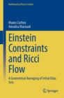 Einstein Constraints and Ricci Flow : A Geometrical Averaging of Initial Data Sets - eBook