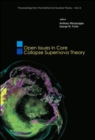 Open Issues In Core Collapse Supernova Theory - Book