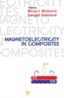 Magnetoelectricity in Composites - eBook