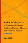Path Integrals In Quantum Mechanics, Statistics, Polymer Physics, And Financial Markets (5th Edition) - Book
