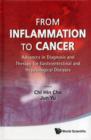 From Inflammation To Cancer: Advances In Diagnosis And Therapy For Gastrointestinal And Hepatological Diseases - Book