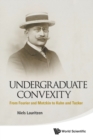 Undergraduate Convexity: From Fourier And Motzkin To Kuhn And Tucker - Book