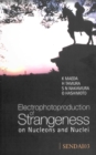Electrophotoproduction Of Strangeness On Nucleons And Nuclei: Proceedings Of The International Symposium - eBook
