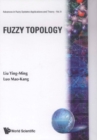Fuzzy Topology - eBook
