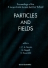 Particles And Fields - Proceedings Of The X Jorge Andre Swieca Summer School - eBook