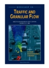Traffic And Granular Flow - eBook