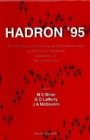 Hadron '95 - Proceedings Of The 6th International Conference On Hadron Spectroscopy - eBook