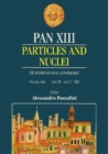 Pan Xiii: Particles And Nuclei - Proceedings Of The Xiii International Conference - eBook