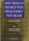 New Vistas In Physics With High-energy Pion Beams - Preconference Workshop, Dnp Fall Meeting 1992 - eBook