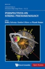 Perspectives On String Phenomenology - eBook