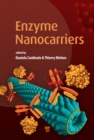 Enzyme Nanocarriers - eBook