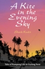 A Kite in the Evening Sky - Book
