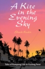 A Kite in the Evening Sky - eBook