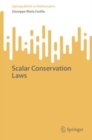 Scalar Conservation Laws - eBook