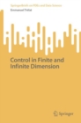 Control in Finite and Infinite Dimension - eBook