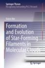 Formation and Evolution of Star-Forming Filaments in Molecular Clouds - eBook