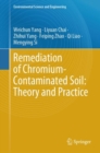 Remediation of Chromium-Contaminated Soil: ?Theory and Practice? - eBook