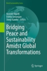 Bridging Peace and Sustainability Amidst Global Transformations - eBook
