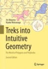 Treks into Intuitive Geometry : The World of Polygons and Polyhedra - eBook