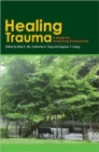 Healing Trauma - A Professional Guide - Book