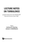Lecture Notes On Turbulence - Book