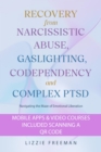 Recovery From Narcissistic Abuse, Gaslighting, Codependency and  Complex PTSD: Navigating the Maze of Emotional Liberation - eBook