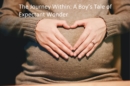 Journey Within: A Boy's Tale of Expectant Wonder - eBook