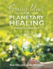 Genius Ideas for Planetary Healing : With Visionary Meditations - eBook