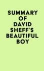 Summary of David Sheff's Beautiful Boy - eBook