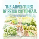 The Adventures of Peter Cottontail - eAudiobook