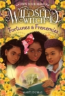 Fortunes & Frenemies (Wildseed Witch Book 3) - eBook