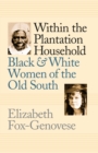 Within the Plantation Household : Black and White Women of the Old South - eBook