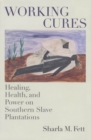 Working Cures : Healing, Health, and Power on Southern Slave Plantations - eBook