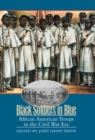 Black Soldiers in Blue : African American Troops in the Civil War Era - eBook