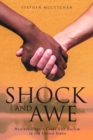 Shock and Awe : How the Church Could End Racism in the United States - eBook