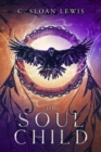 The Soul Child - eBook