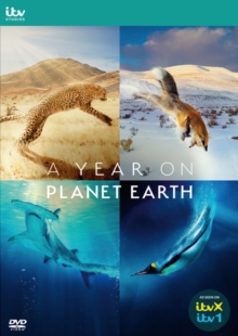 A   Year On Planet Earth