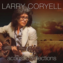 Acoustic Reflections