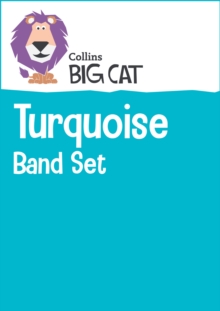 Turquoise Band Set : Band 07/Turquoise