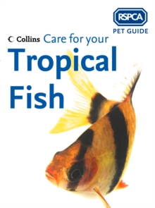 Care for your Tropical Fish