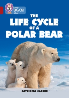 The Life Cycle of a Polar Bear : Band 14/Ruby