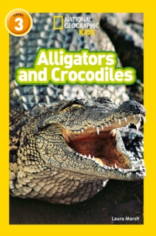 Alligators and Crocodiles : Level 3