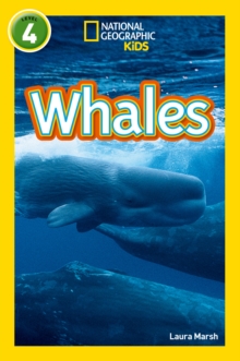 Whales : Level 4