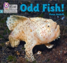 Odd Fish! : Phase 3