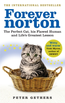 Forever Norton : The Perfect Cat, his Flawed Human and Life's Greatest Lesson