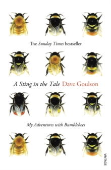 A Sting in the Tale : My Adventures with Bumblebees