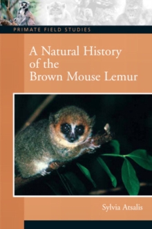 A Natural History of the Brown Mouse Lemur
