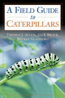 Caterpillars in the Field and Garden : A Field Guide to the Butterfly Caterpillars of North America