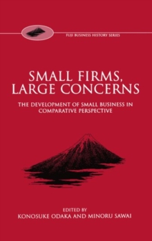 Small Firms, Large Concerns : The Development of Small Business in Comparative Perspective