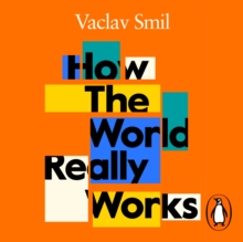 How the World Really Works : A Scientist's Guide to Our Past, Present and Future